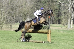 luhmuehlen-cci2-maerz-2019-303