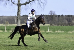 luhmuehlen-cci2-maerz-2019-305