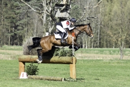 luhmuehlen-cci2-maerz-2019-306