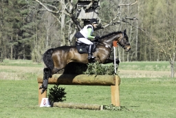 luhmuehlen-cci2-maerz-2019-312