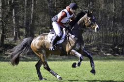luhmuehlen-cci2-maerz-2019-315