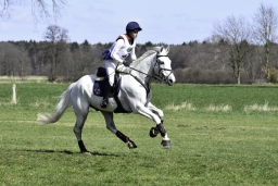 luhmuehlen-cci2-maerz-2019-318