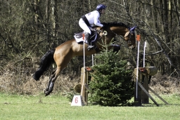 luhmuehlen-cci2-maerz-2019-320