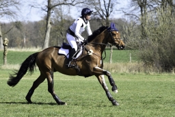luhmuehlen-cci2-maerz-2019-324