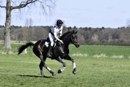luhmuehlen-cci2-maerz-2019-326