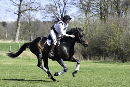 luhmuehlen-cci2-maerz-2019-327