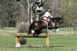 luhmuehlen-cci2-maerz-2019-328