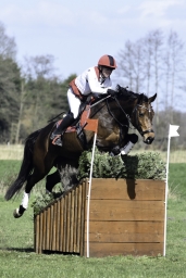 luhmuehlen-cci2-maerz-2019-329