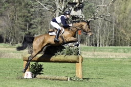 luhmuehlen-cci2-maerz-2019-332