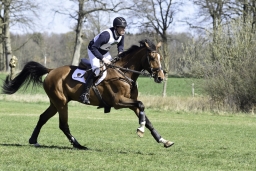 luhmuehlen-cci2-maerz-2019-334