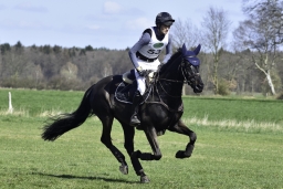 luhmuehlen-cci2-maerz-2019-338