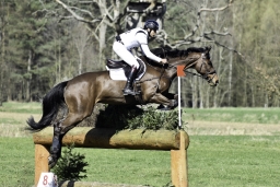 luhmuehlen-cci2-maerz-2019-341