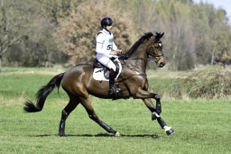luhmuehlen-cci2-maerz-2019-342