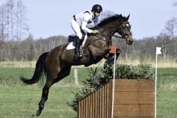 luhmuehlen-cci2-maerz-2019-343