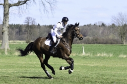 luhmuehlen-cci2-maerz-2019-344