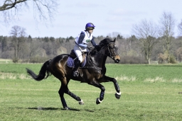 luhmuehlen-cci2-maerz-2019-348