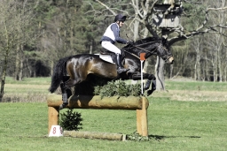 luhmuehlen-cci2-maerz-2019-350