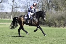 luhmuehlen-cci2-maerz-2019-355