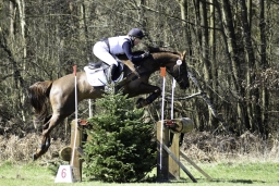 luhmuehlen-cci2-maerz-2019-356