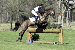 luhmuehlen-cci2-maerz-2019-357
