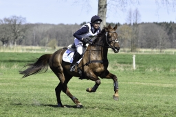 luhmuehlen-cci2-maerz-2019-359