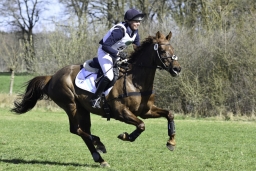 luhmuehlen-cci2-maerz-2019-360