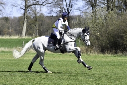 luhmuehlen-cci2-maerz-2019-364