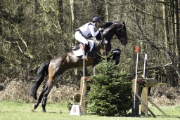 luhmuehlen-cci2-maerz-2019-365