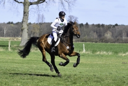 luhmuehlen-cci2-maerz-2019-369