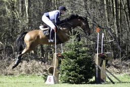 luhmuehlen-cci2-maerz-2019-372