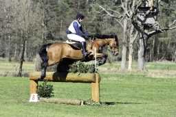 luhmuehlen-cci2-maerz-2019-373