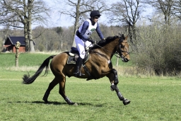 luhmuehlen-cci2-maerz-2019-375