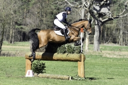 luhmuehlen-cci2-maerz-2019-376