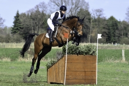 luhmuehlen-cci2-maerz-2019-377