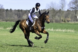 luhmuehlen-cci2-maerz-2019-378