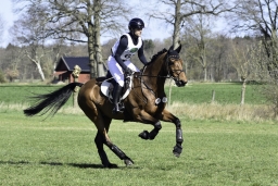 luhmuehlen-cci2-maerz-2019-379