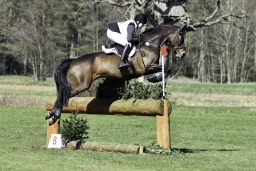 luhmuehlen-cci2-maerz-2019-381