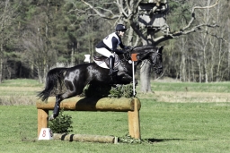 luhmuehlen-cci2-maerz-2019-384