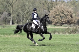 luhmuehlen-cci2-maerz-2019-385