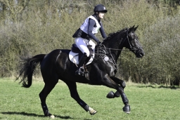 luhmuehlen-cci2-maerz-2019-388