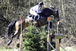 luhmuehlen-cci2-maerz-2019-389