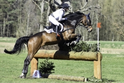 luhmuehlen-cci2-maerz-2019-390