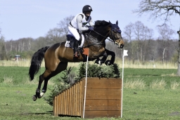 luhmuehlen-cci2-maerz-2019-391