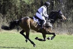 luhmuehlen-cci2-maerz-2019-395