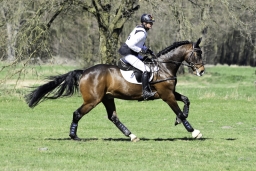 luhmuehlen-cci2-maerz-2019-398