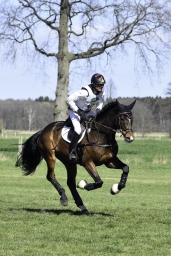 luhmuehlen-cci2-maerz-2019-400