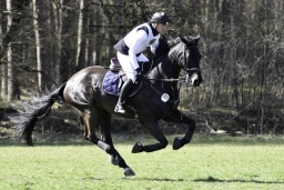 luhmuehlen-cci2-maerz-2019-402