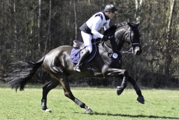 luhmuehlen-cci2-maerz-2019-403