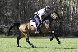luhmuehlen-cci2-maerz-2019-406