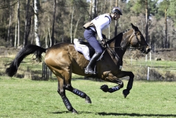 luhmuehlen-cci2-maerz-2019-407